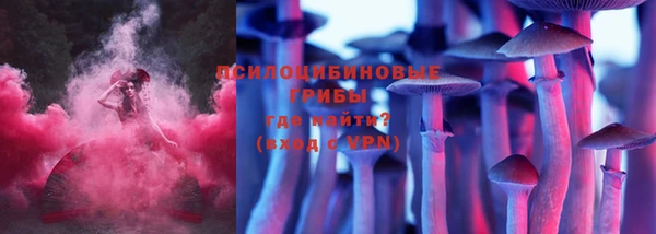 МДПВ Лихославль