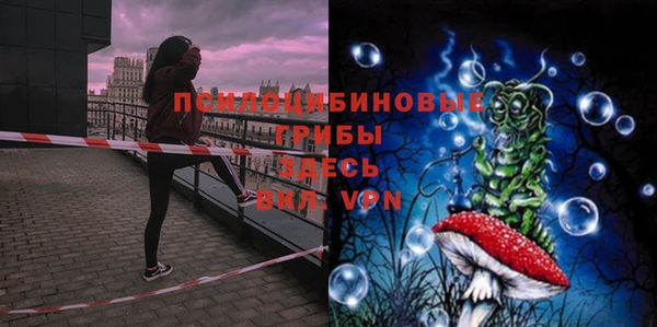 прущие грибы Новокубанск