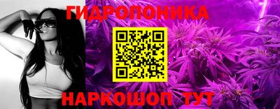 гидра Комсомольск-на-Амуре