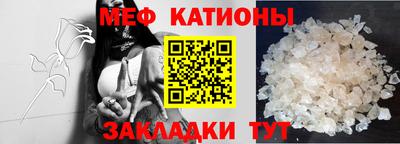 стафф Бийск