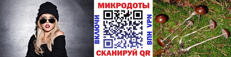 Псилоцибиновые грибы Cubensis  Электросталь 
