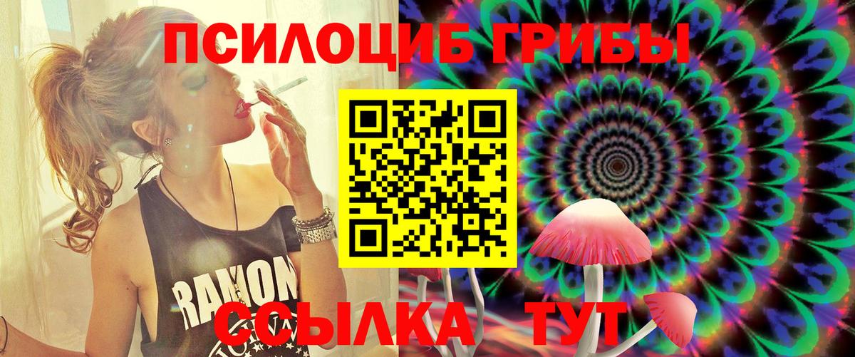 Электросталь  Галлюциногенные грибы мицелий  Вход с VPN  Галлюциногенные грибы Psilocybine cubensis 