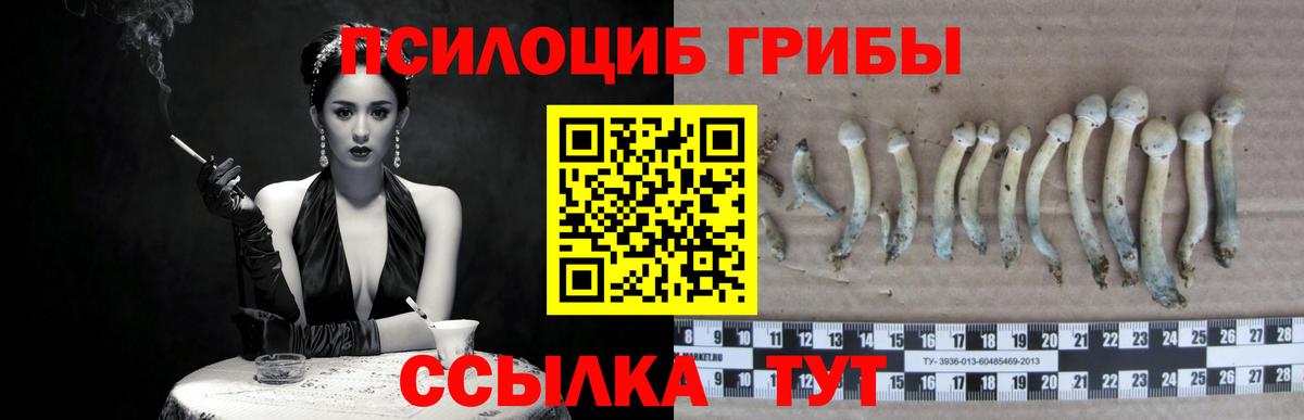 Галлюциногенные грибы ЛСД  цена   Галлюциногенные грибы Cubensis  Электросталь 